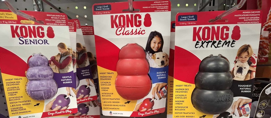 Kong