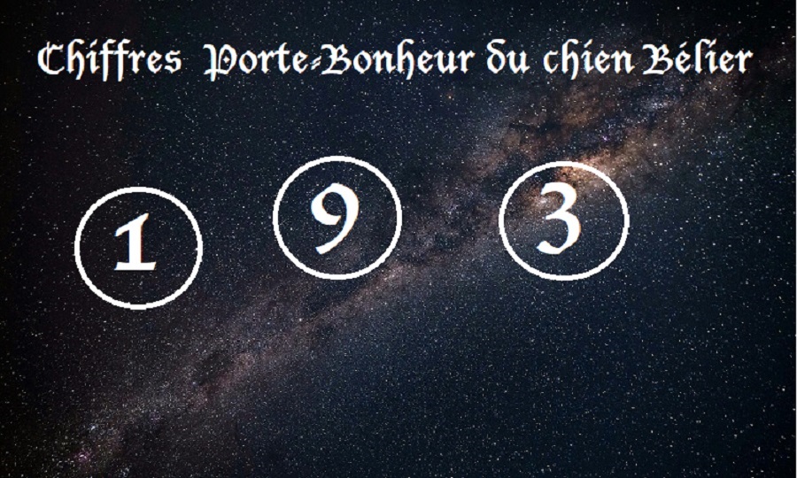 Chiffres Porte-Bonheur Chiens signe astrologique :  Bélier