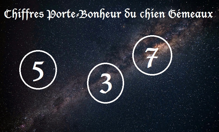 Chiffres Porte-Bonheur Chiens signe astrologique :  Gémeaux