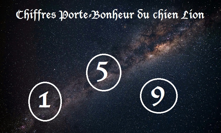 Chiffres Porte-Bonheur Chiens signe astrologique :  Lion