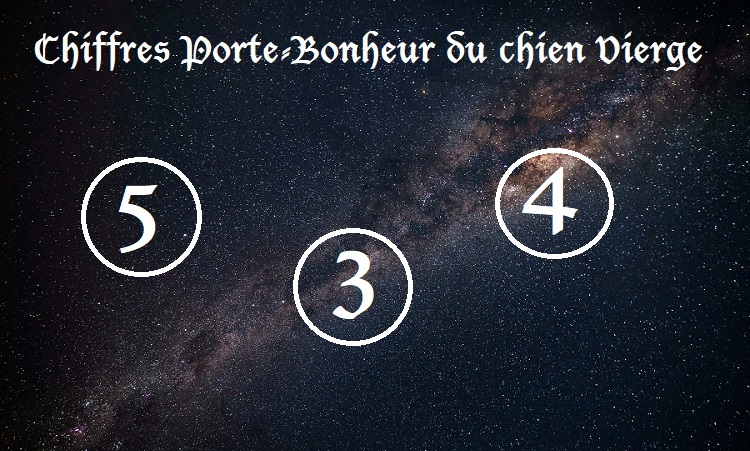 Chiffres Porte-Bonheur Chiens signe astrologique :  Vierge