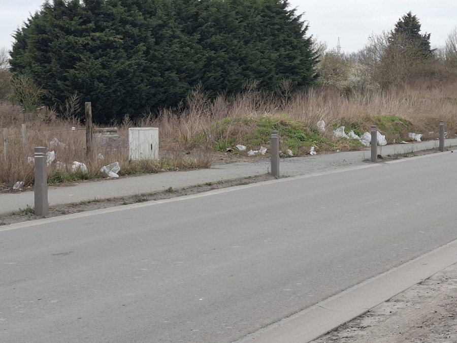 Déchets dans la nature à Baudour - AnimalWeb Belgique