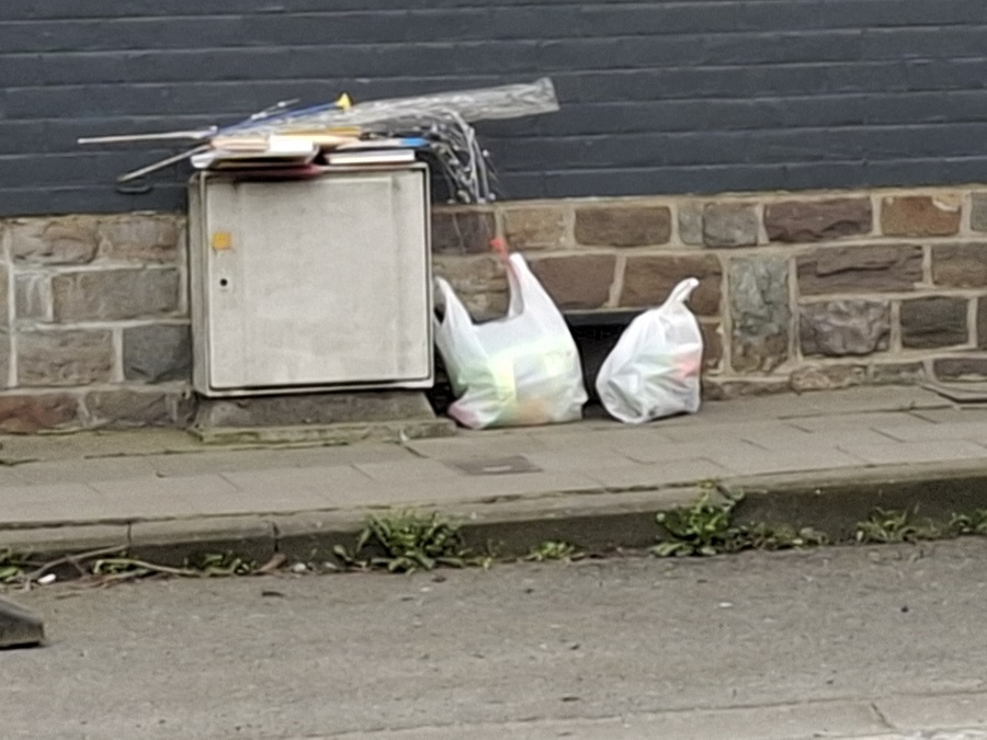 Déchets dans la nature à Quaregnon - AnimalWeb Belgique