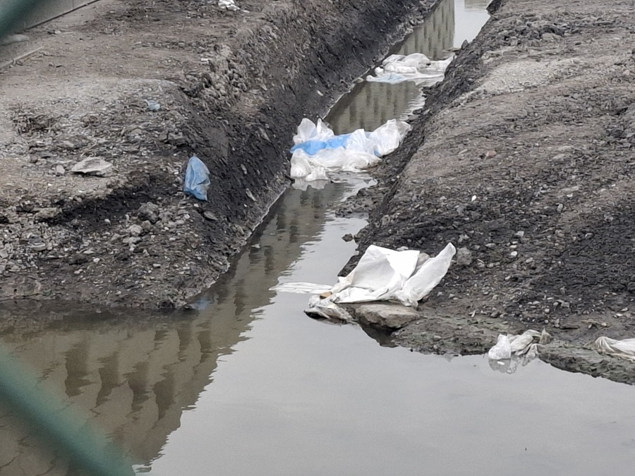 Déchets dans la nature à Quaregnon - AnimalWeb Belgique