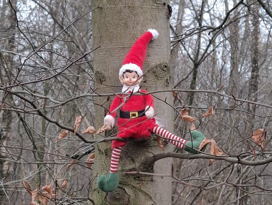 Lutin farceur assis sur une branche d'arbre dans un bois
