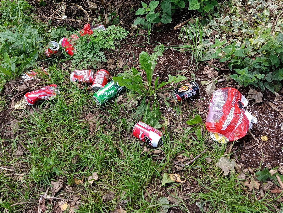 Déchets : Canettes de bières dans la nature