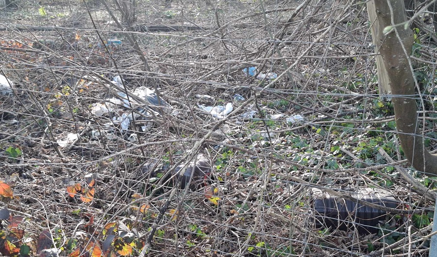 Déchets : dépôt d'ordures dans la nature