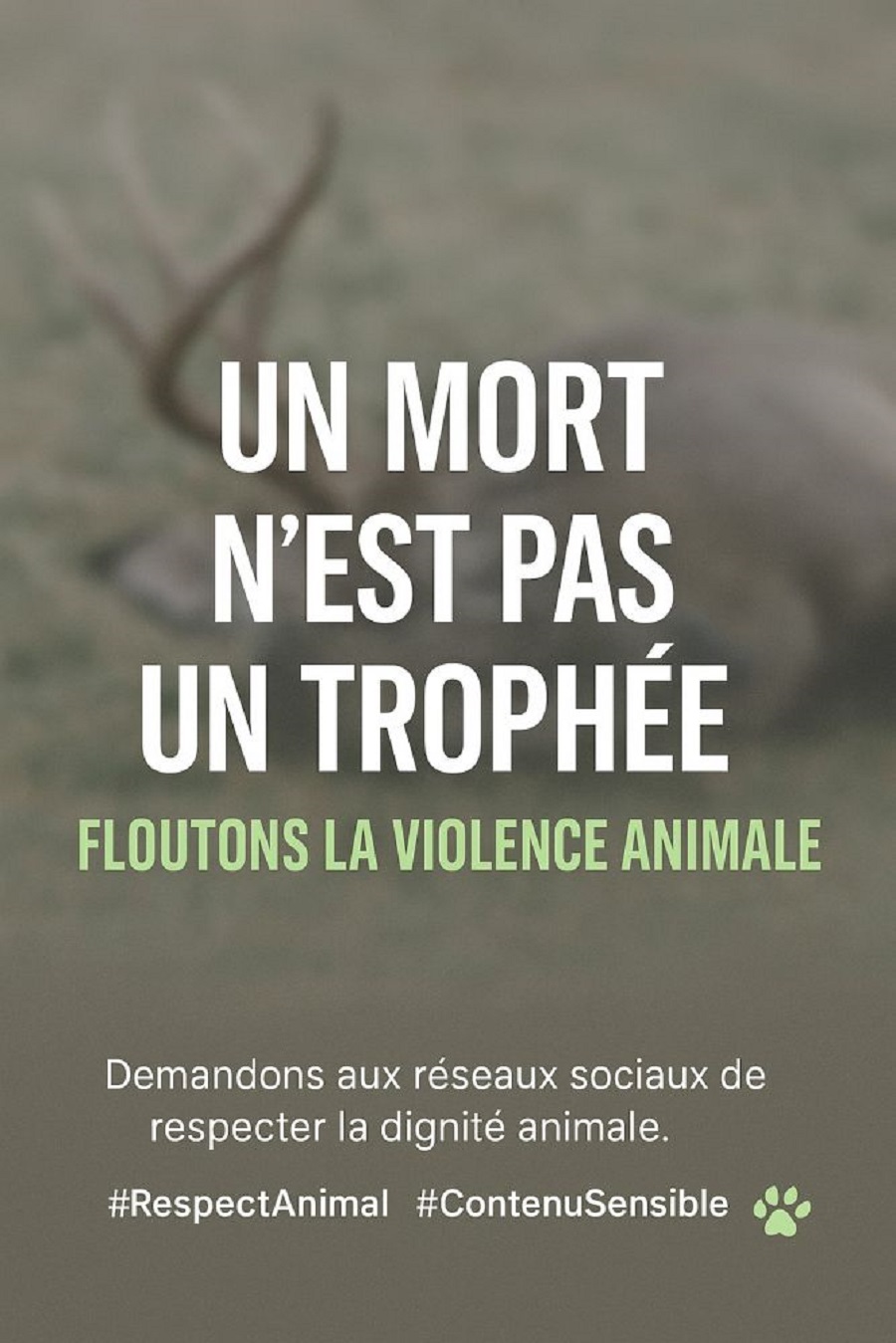 Affiche : Pétition Floutage automatique des animaux abattus par les chasseurs sur les réseaux sociaux