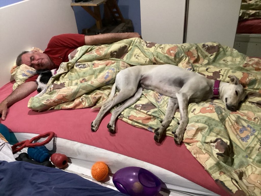 Homme et chien qui dorment au lit