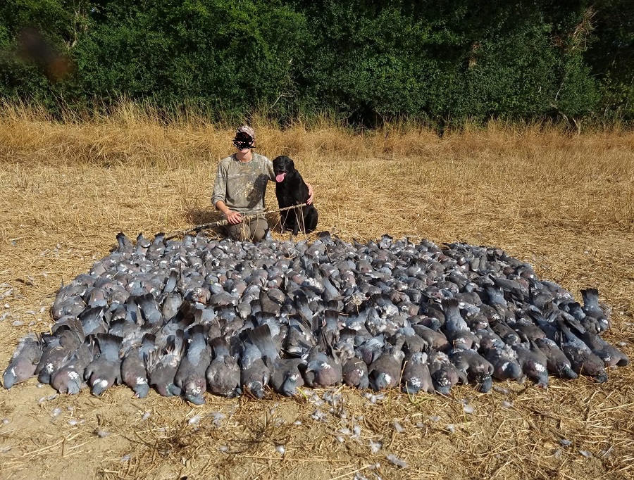 Chasseur avec son chien devant des dizaines d'oiseaux abattus