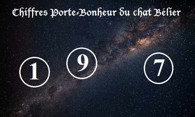 Chiffres Porte-Bonheur Chats signe astrologique :  Bélier