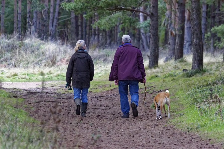 2 promeneurs se baladent dans un bois avec leur chien
