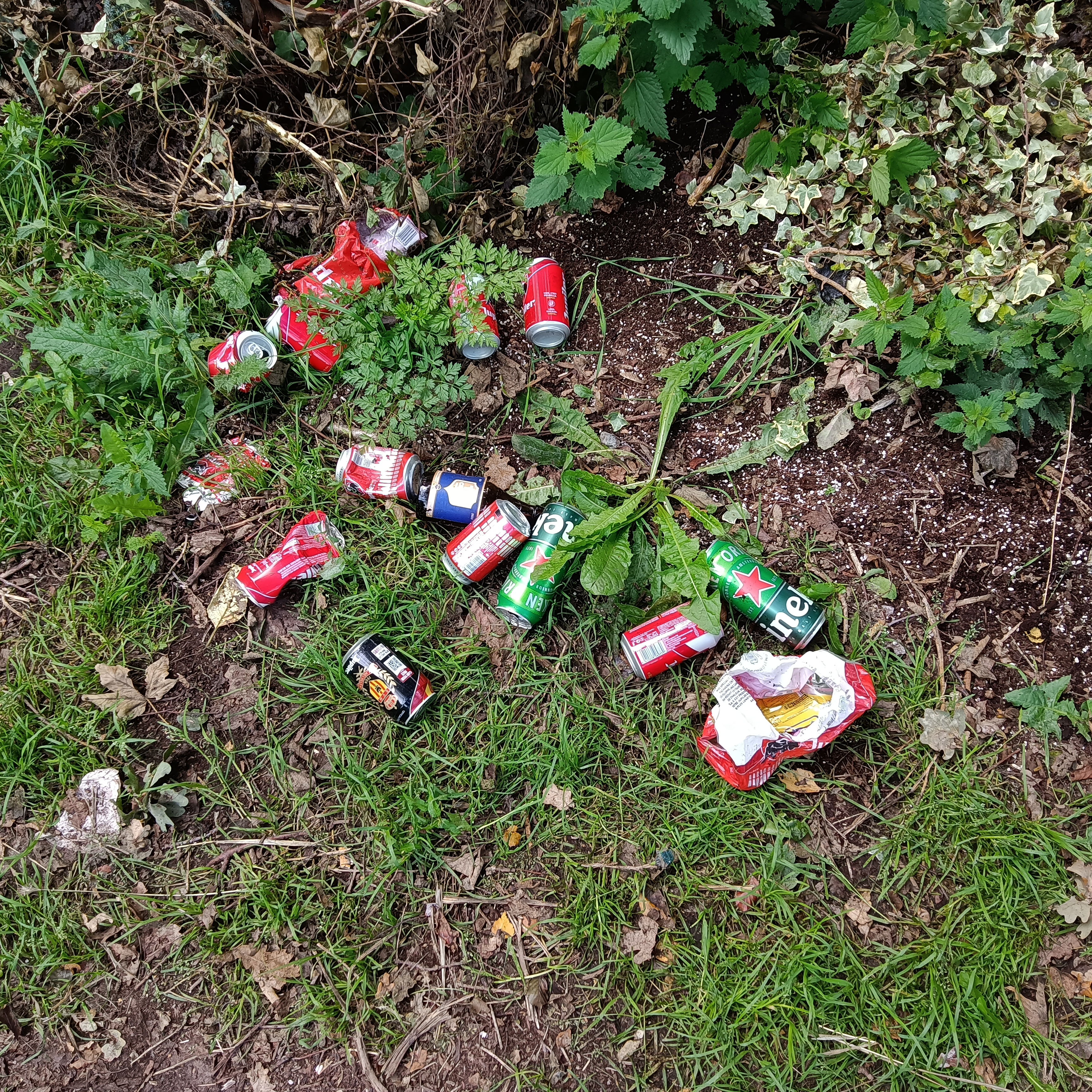 Canettes vides à la lisière du bois de Baudour