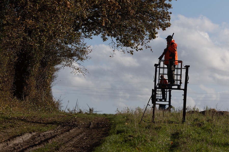 Miradors avec chasseurs