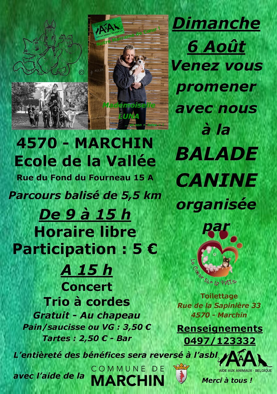 Affiche balade canine A.A.A. du 06 août 2023