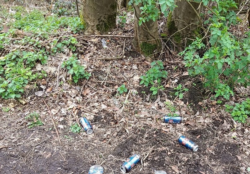 Canettes de bières sur le sol