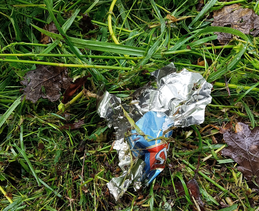 Canette broyée dans l'herbe