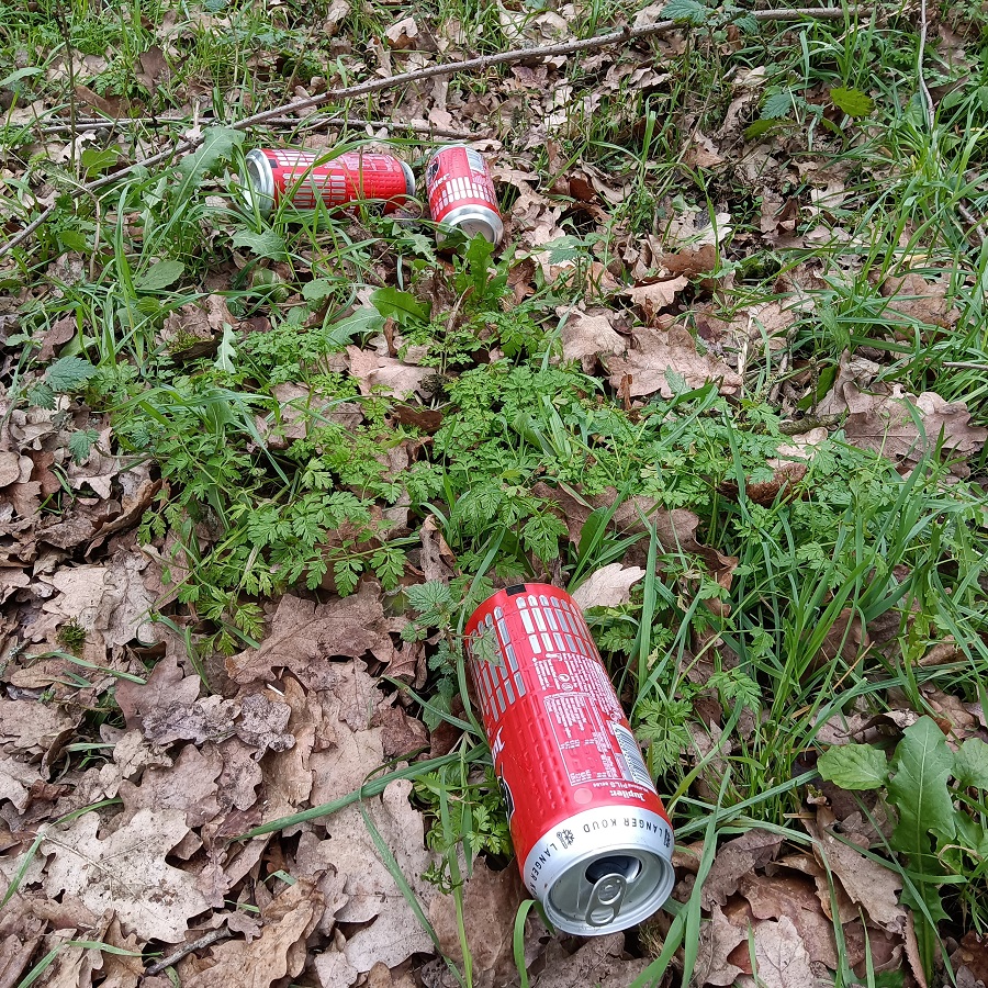 Canettes Jupiler dans l'herbe