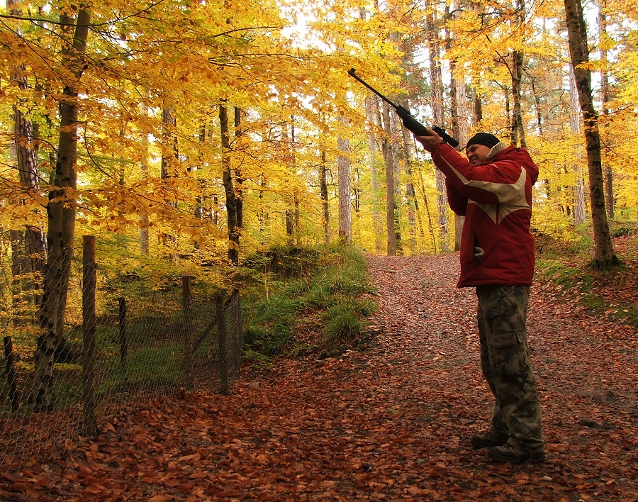 Chasseur dans un bois