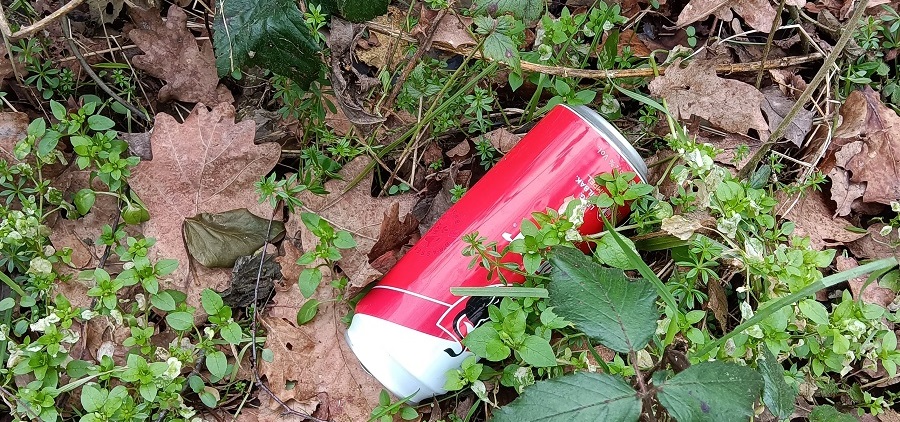 Canette de Jupiler vide dans la nature