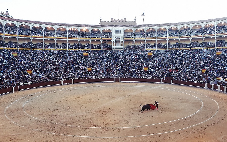 Corrida dans une arène