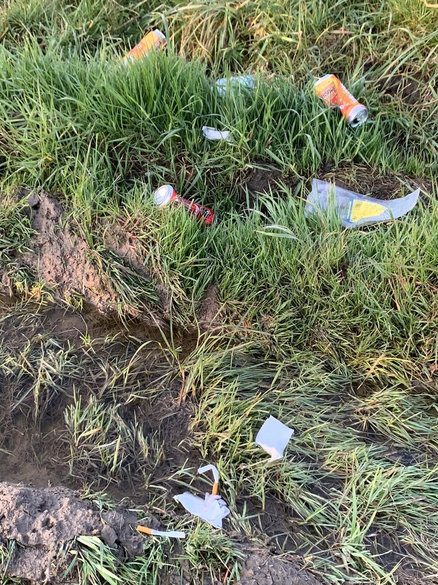 Déchets dans la nature