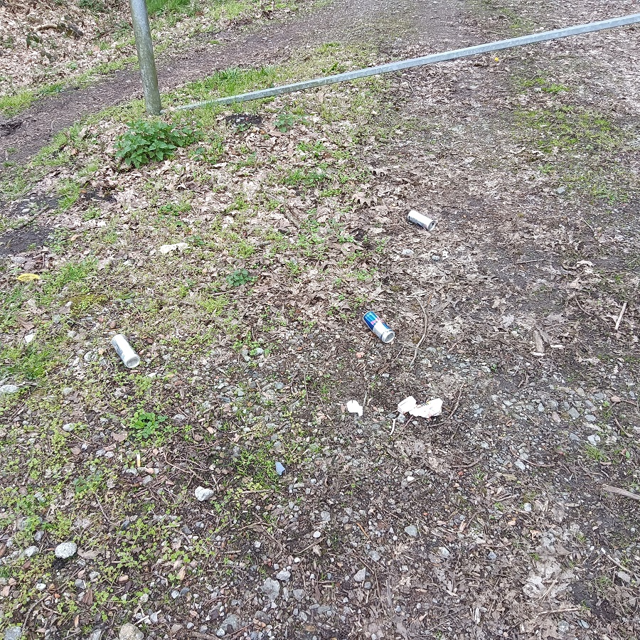 Déchets, canettes et mouchoirs dans la nature