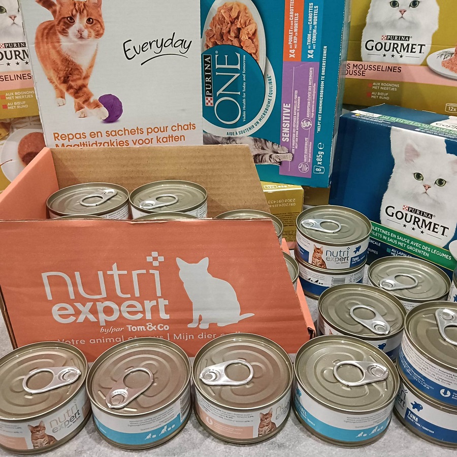 Nourriture en sachets et en boites pour chats