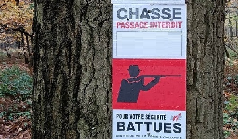 Affiche battue chasse