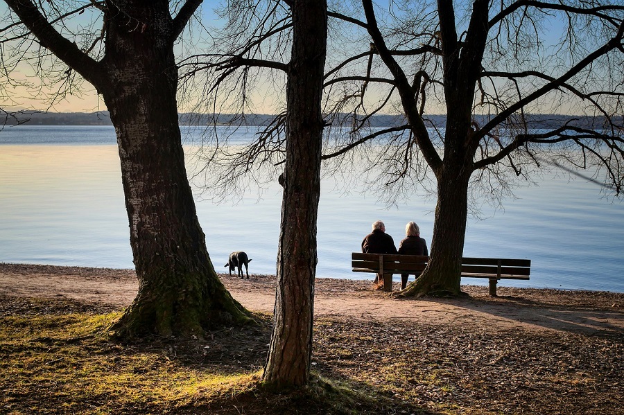 Couple au bord d'un étang avec un chien