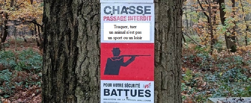 Affiche saison chasse