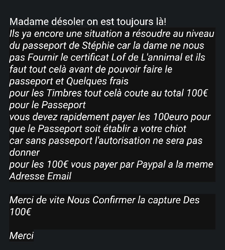 Message d'escrocs à l'adoption d'un animal