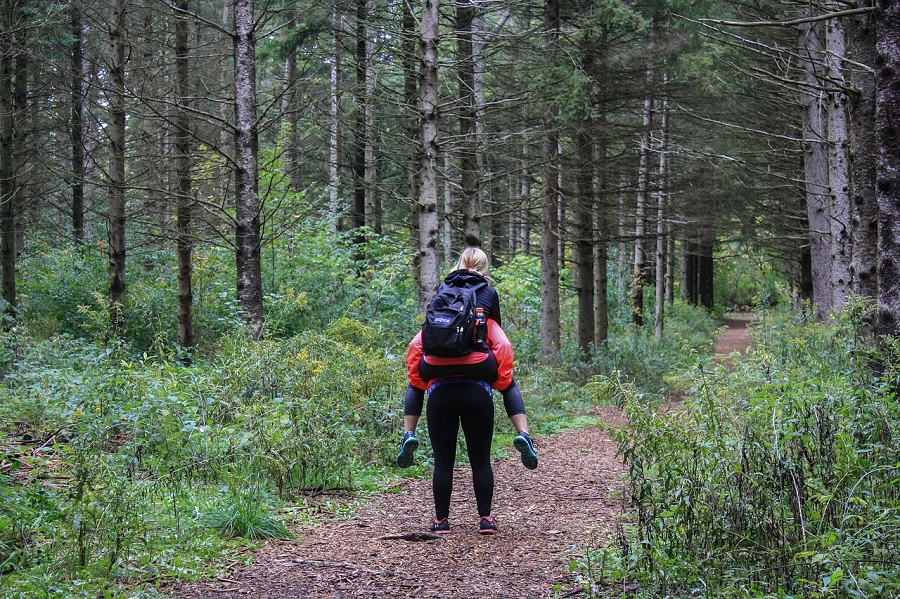 Promeneurs dans une forêt