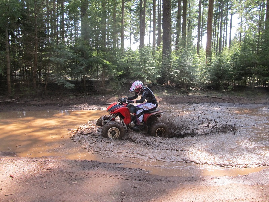 Pilote de quad dans un bois