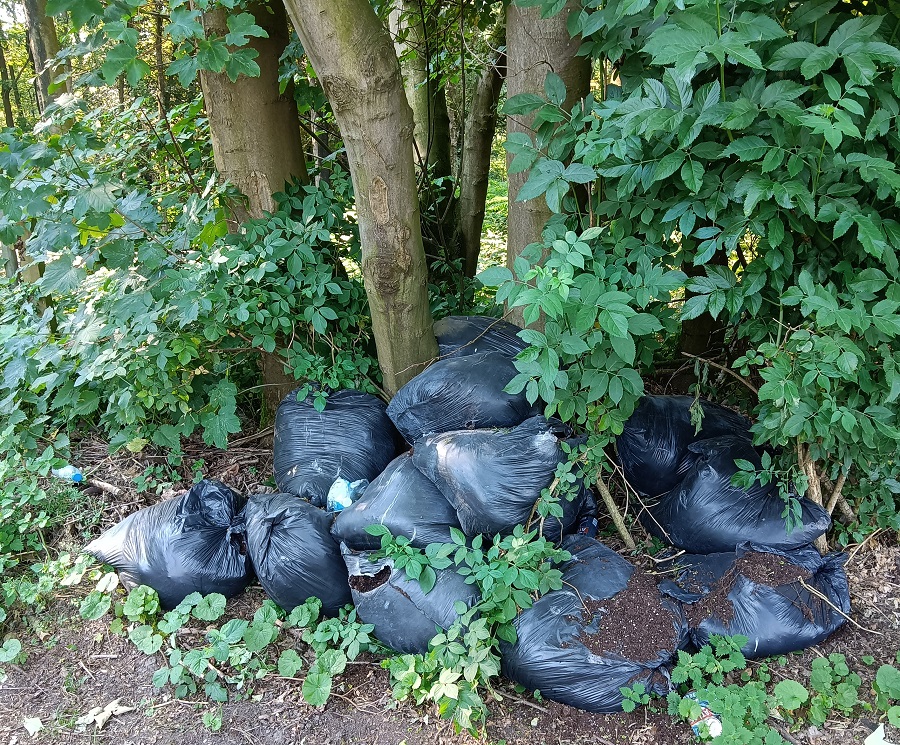 Sacs de déchets et ordures dans la nature