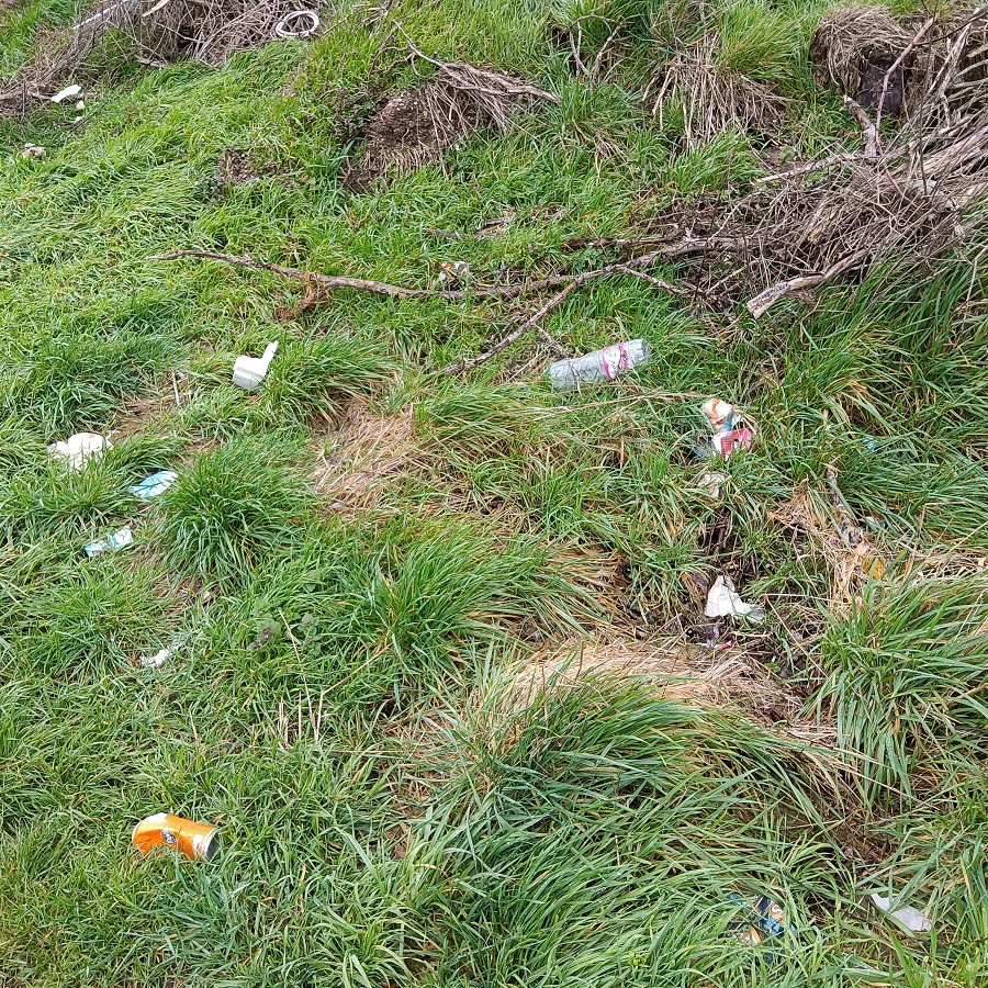 Déchets présents dans la nature