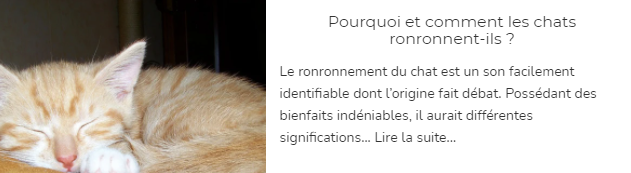 Pourquoi et comment les chats ronronnent-ils ?