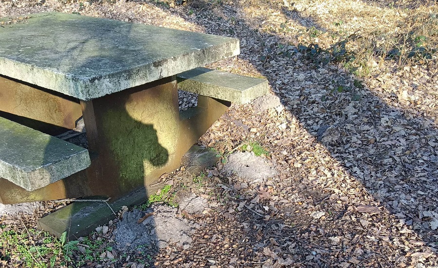 Monticules de terre faites par des taupes