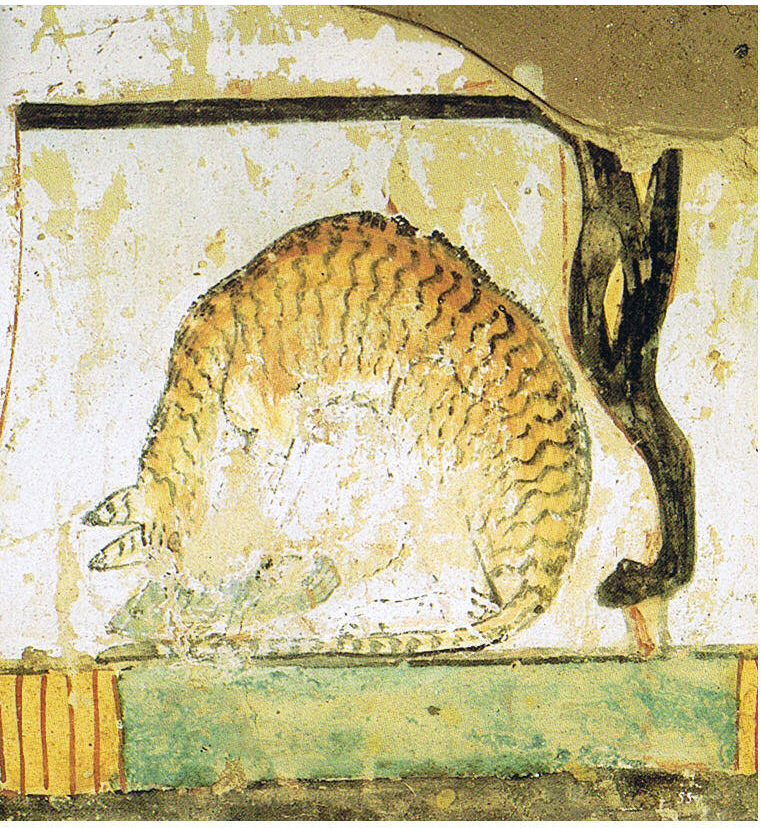 L'histoire fabuleuse des chats sacrés dans l’Égypte antique