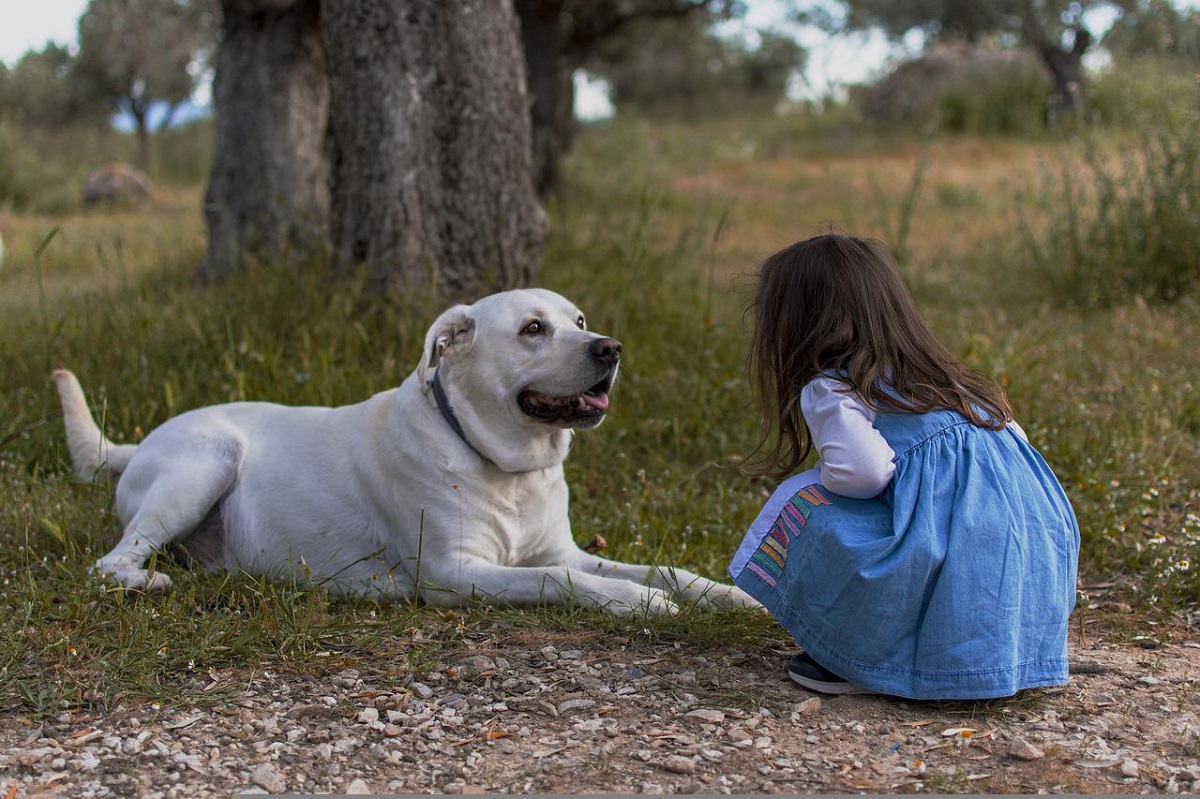 Chien avec petite fille