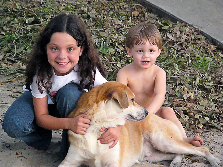 Enfants et chiens