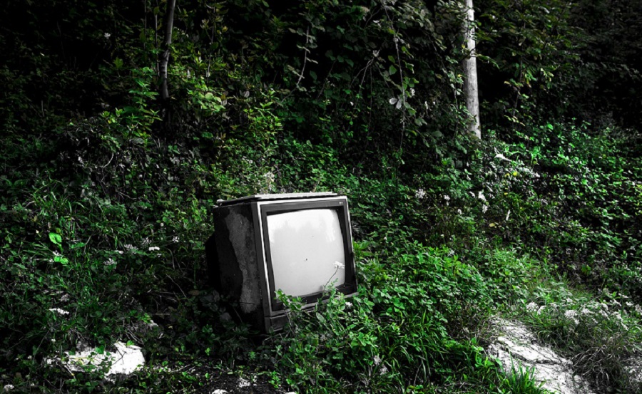Déchets et télévision dans un bois