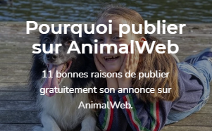 11 bonnes raisons de publier sur AnimalWeb