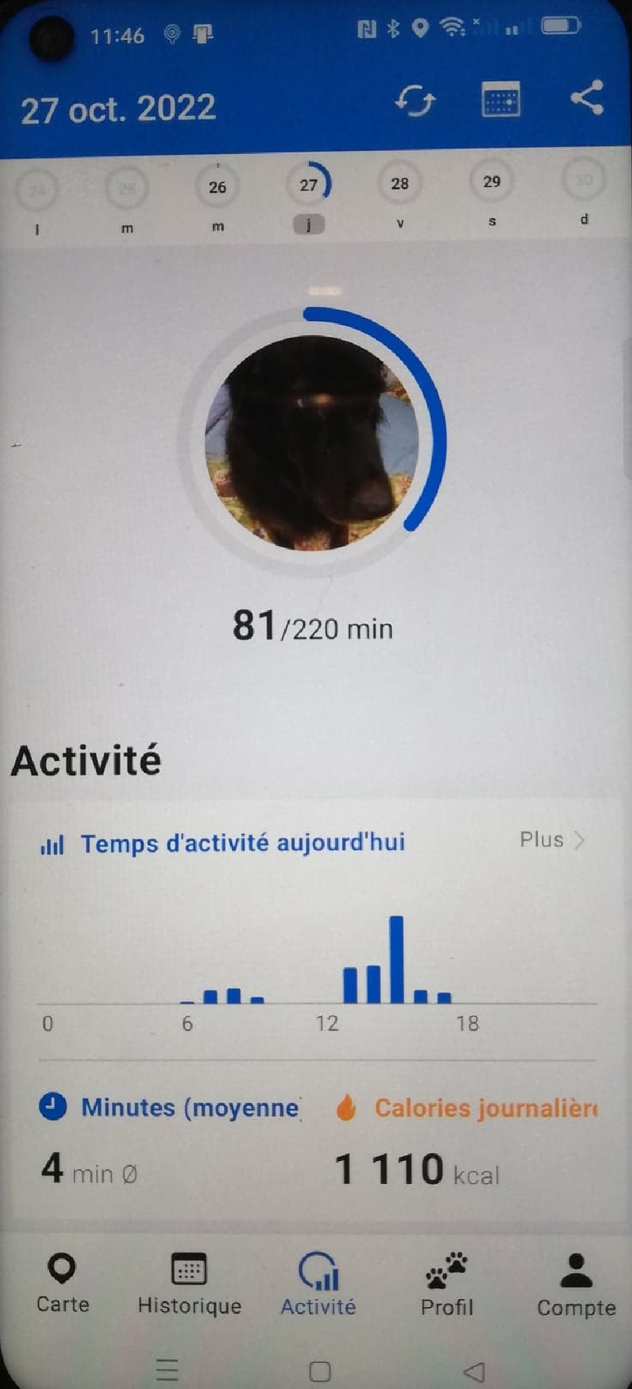 Tractive Traceur GPS LTE pour chat