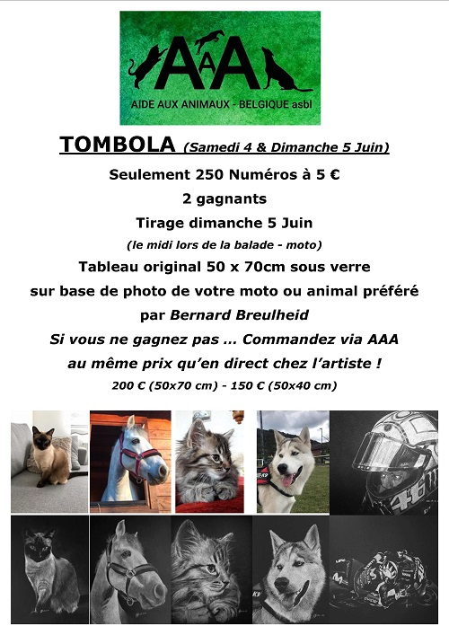 Tombola A.A.A. 04 juin 2022