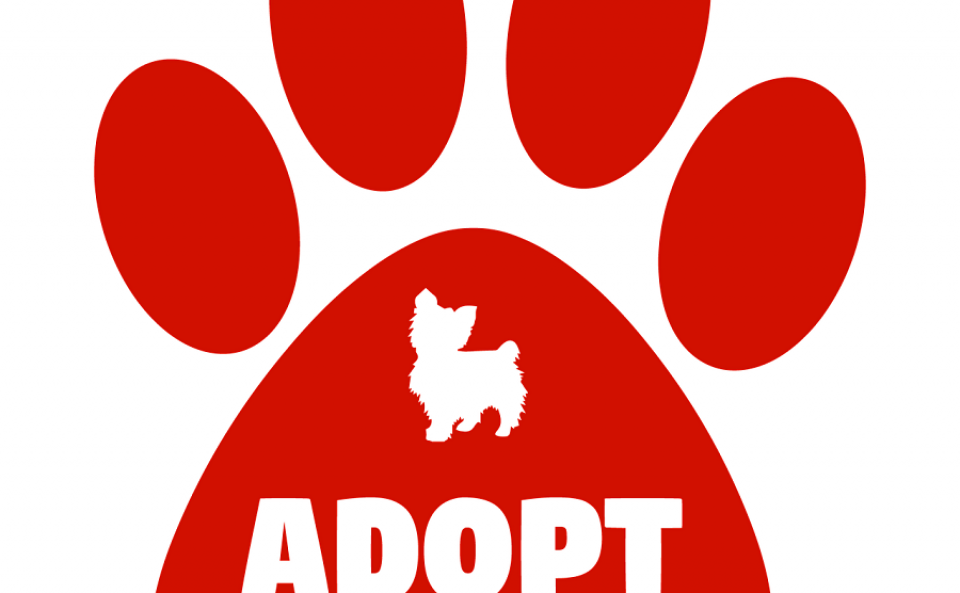 J'adopte un animal J'adopte un animal