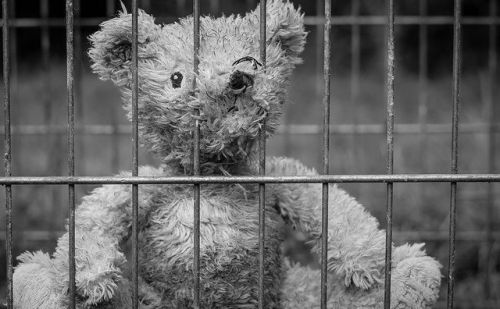 Maltraitance Animale Maltraitance Animale