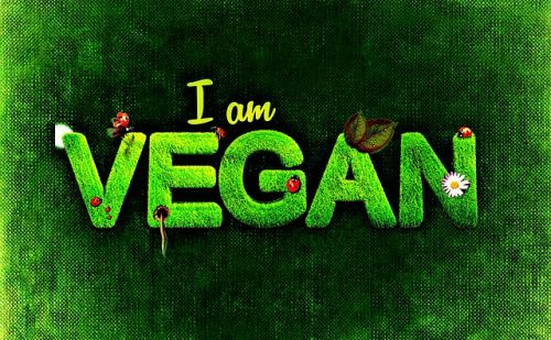 I am Vegan | AnimalWeb I am Vegan | AnimalWeb