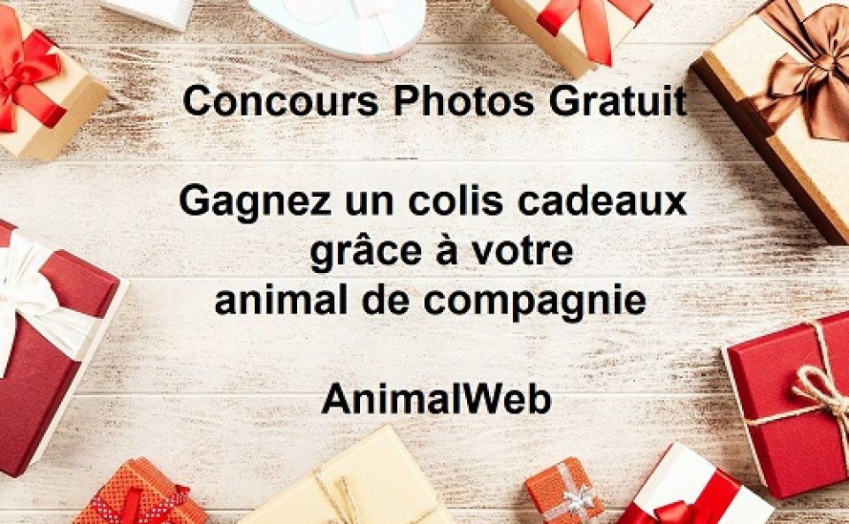 Concours Photos