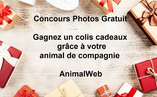 Concours Photos Concours Photos